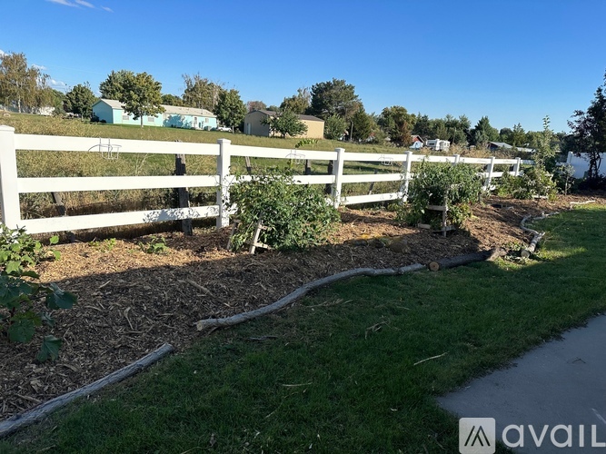 A white fence runs along the edge of a grassy area.