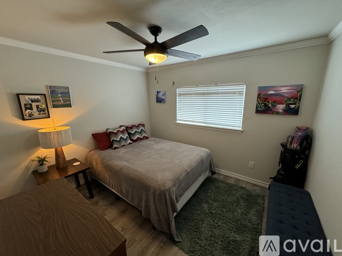 A bedroom with a bed, a ceiling fan, and a nightstand with a lamp.