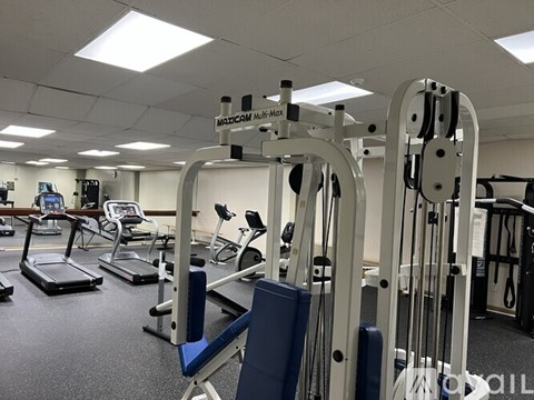 A gym with a variety of equipment including treadmills, stationary bikes, and weight machines.