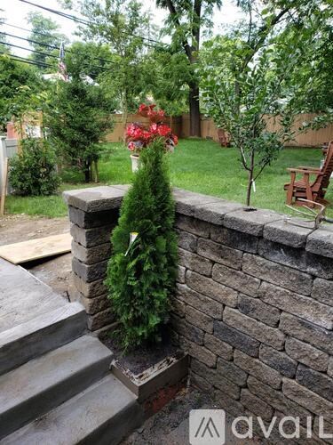 A stone wall with a tree growing out of it.