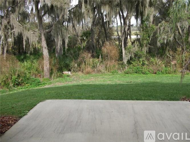 A concrete surface with trees in the background.