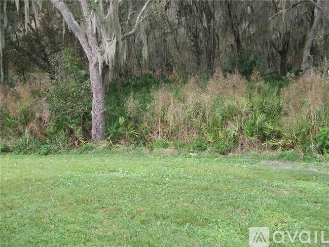 A grassy area with a tree and bushes in the background.