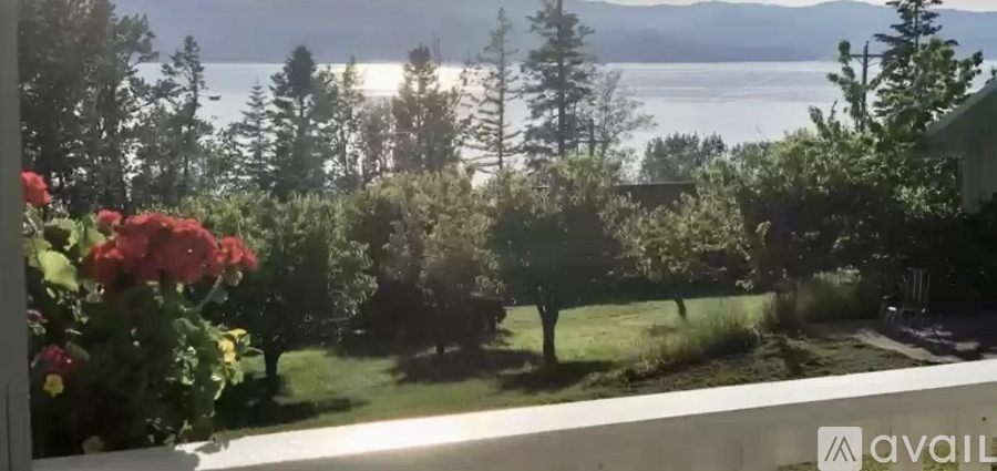 A view of a garden with trees and a house in the background.