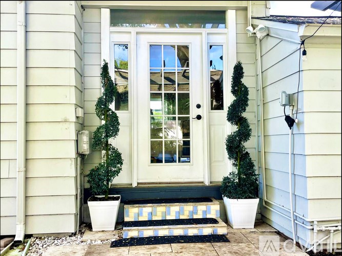 A white door with a glass window is flanked by two green plants.