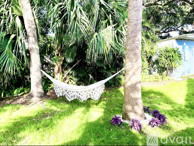 A hammock is strung between two trees in a lush green garden.