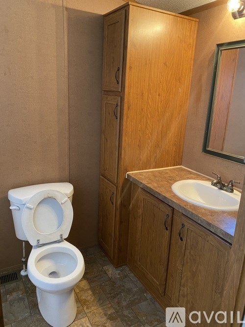 A bathroom with a toilet, sink, and wooden cabinet.