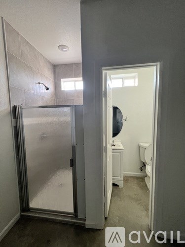A bathroom with a walk-in shower and toilet.