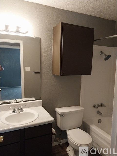 A bathroom with a toilet, sink, and mirror.