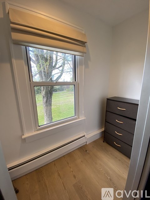 A window with a view of a tree and grass outside.