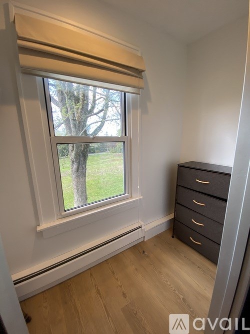 A window with a view of a tree and grass outside.