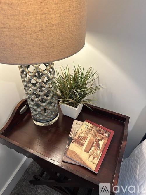 A lamp with a patterned shade is on a wooden tray with a book and a plant.