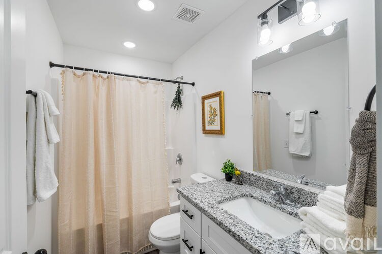 A bathroom with a toilet, sink, and shower curtain.