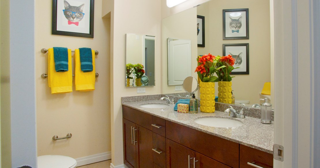 a bathroom with two sinks and a mirror