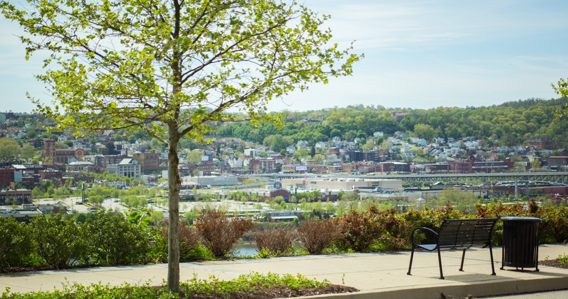a park bench overlooking a city with a tree