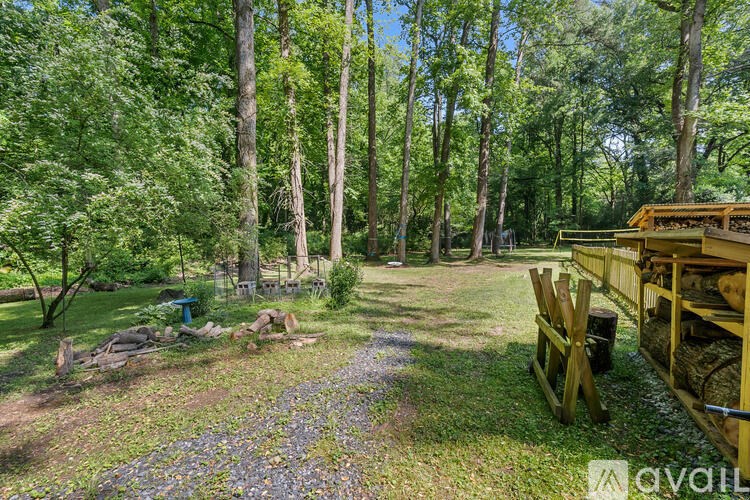 A wooded area with a pile of wood and a blue object in the distance.
