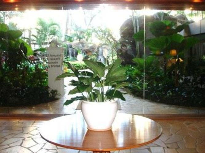A potted plant sits on a table in front of a glass wall.