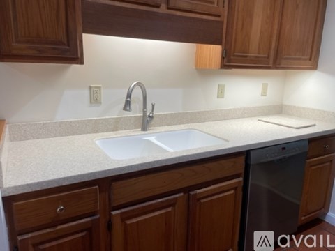 A kitchen with a sink and a dishwasher.