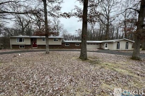 A house surrounded by trees and a carpet of leaves on the ground.