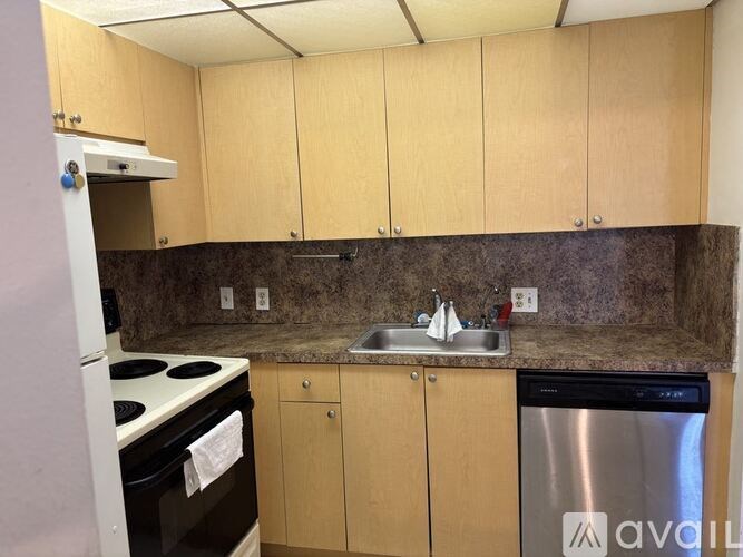 A kitchen with wooden cabinets and a stainless steel dishwasher.
