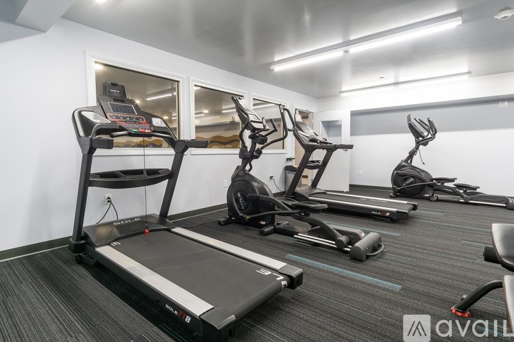 A gym with treadmills and elliptical machines.