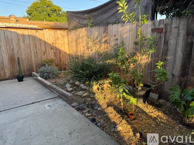 A garden with a wooden fence and a variety of plants.