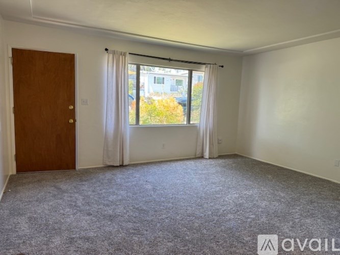 A room with a carpeted floor, a wooden door, and a window with curtains.