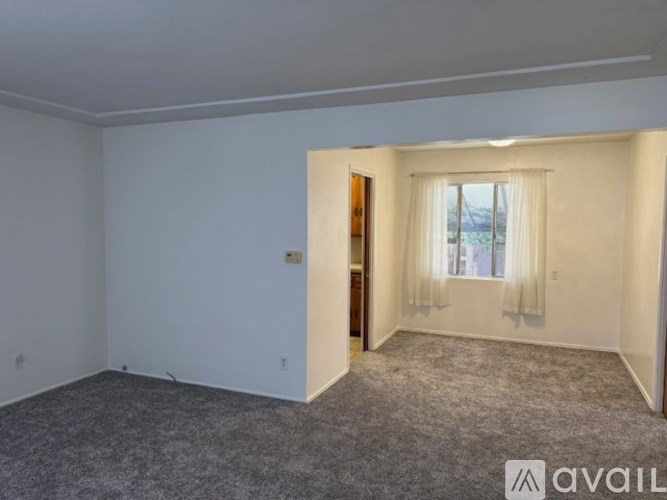 A room with a carpeted floor and a window with curtains.
