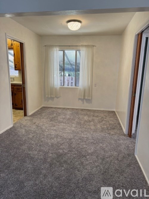 A carpeted room with a window and a door.