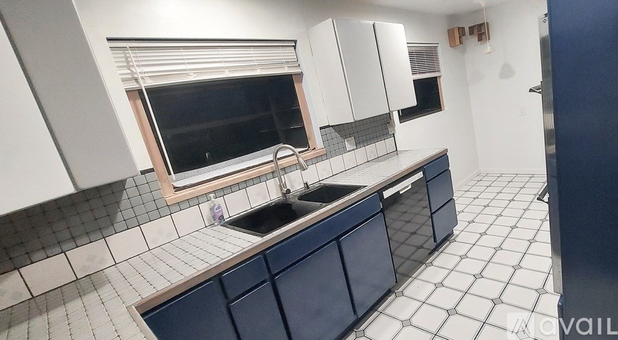 A kitchen with a sink and a window.