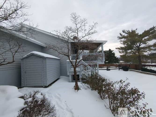 A house with a snow-covered ground and a tree in front of it.