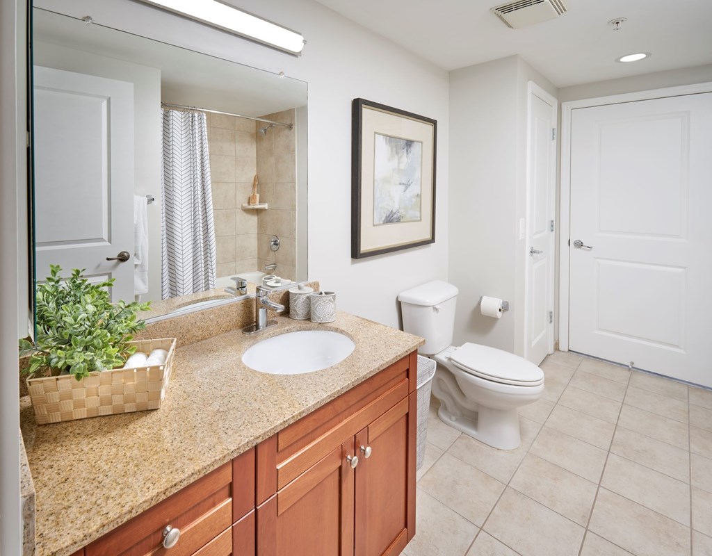A bathroom with a toilet, sink, and mirror.
