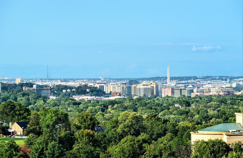 A cityscape with a large building in the distance and a green roofed building in the foreground.