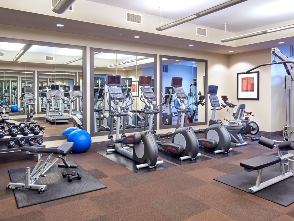 A gym with a variety of equipment including treadmills, stationary bikes, and weight machines.