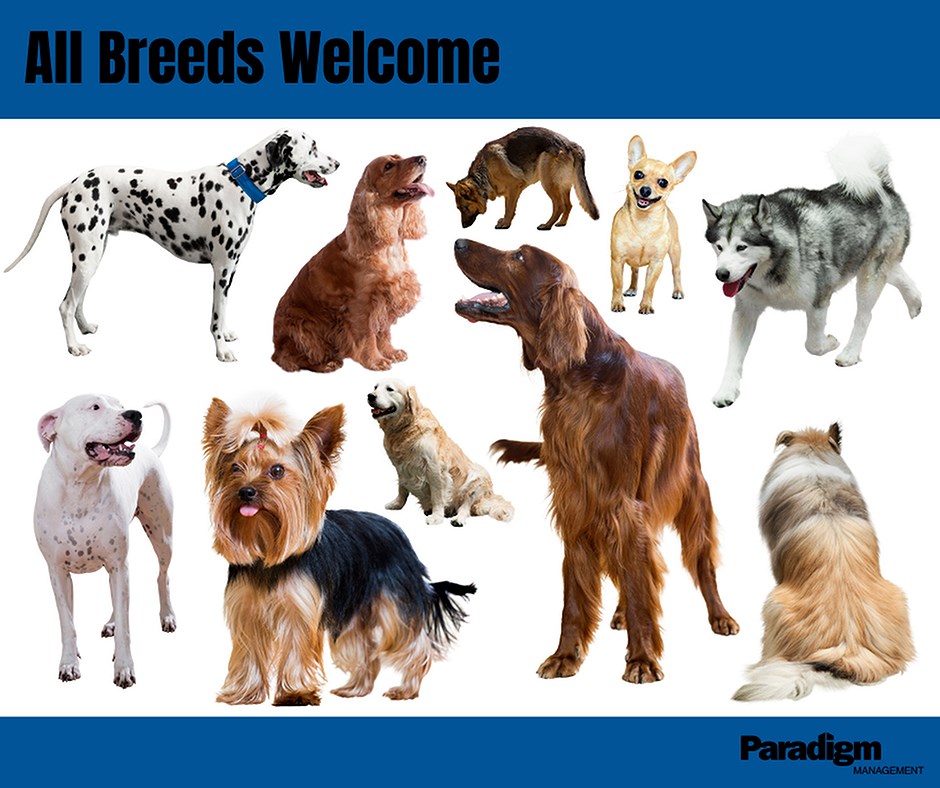 A collection of various dog breeds is displayed with the text "All Breeds Welcome."