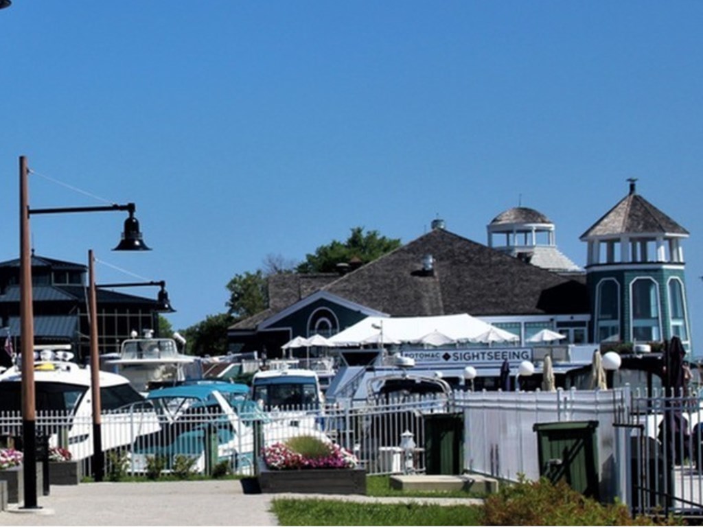 A marina with boats and a building with a dome on top.