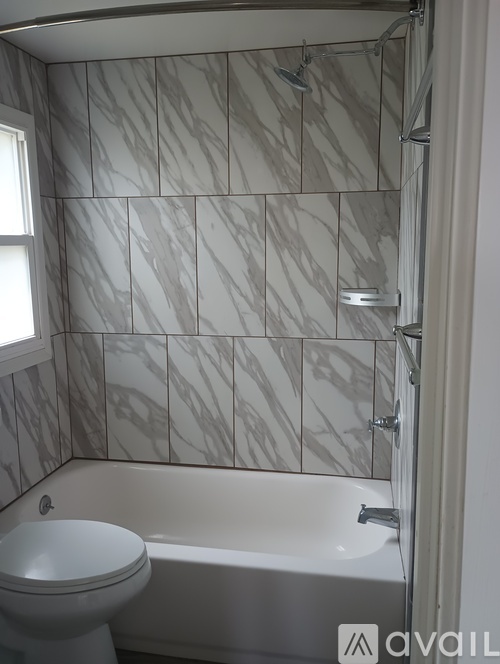 A bathroom with a toilet, tub, and shower.
