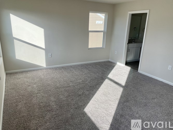 A room with a carpeted floor and a window letting in sunlight.