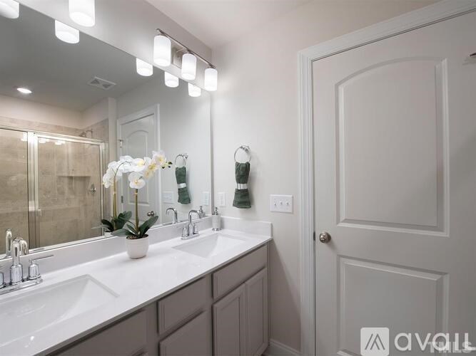 A bathroom with a white sink and a mirror above it.