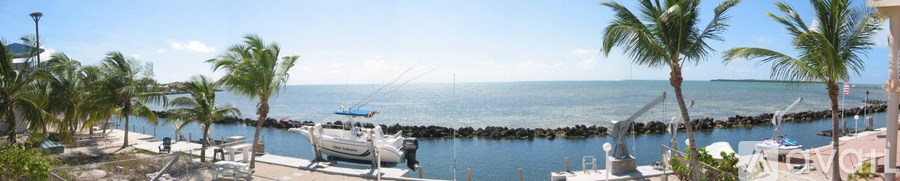 A view of a beach with a boat and palm trees.