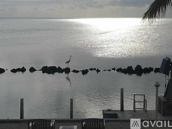 A heron stands on a rock in the middle of a calm body of water.