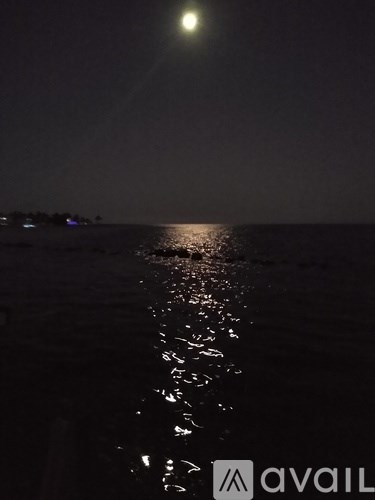 A moonlit night over a calm sea.