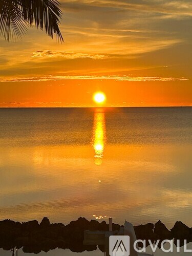The sun is setting over the ocean with a palm tree in the foreground.