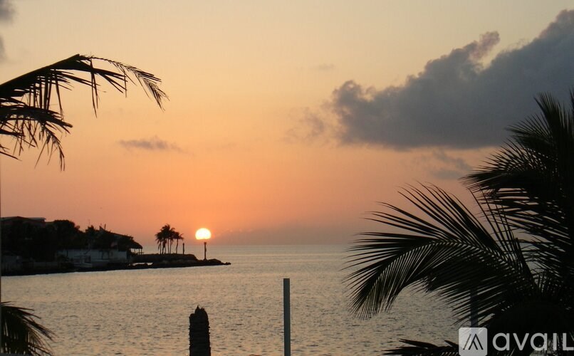 A sunset view with palm trees and a body of water.