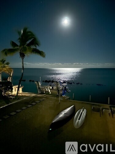 A surfboard and a palm tree are on a balcony overlooking the ocean at night.