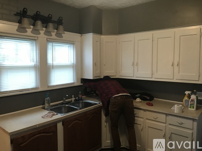 A person is cleaning a kitchen with a spray bottle.