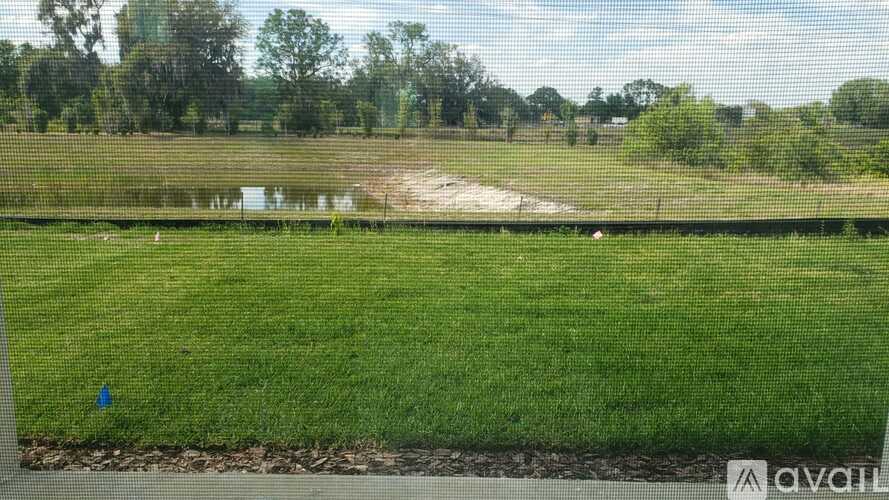 A grassy field with a pond and trees in the distance.