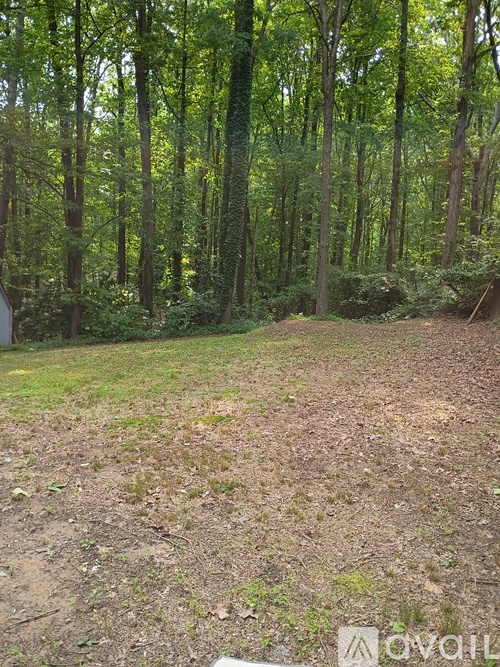 A wooded area with a dirt ground and trees.