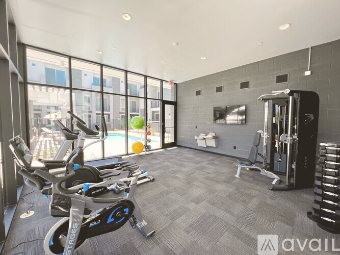 A gym with a row of stationary bikes and a squat rack.