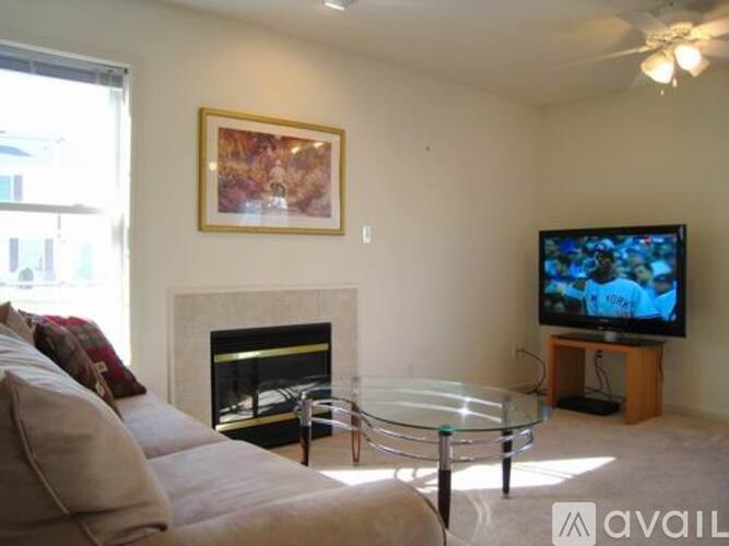 A living room with a fireplace, a couch, and a television.