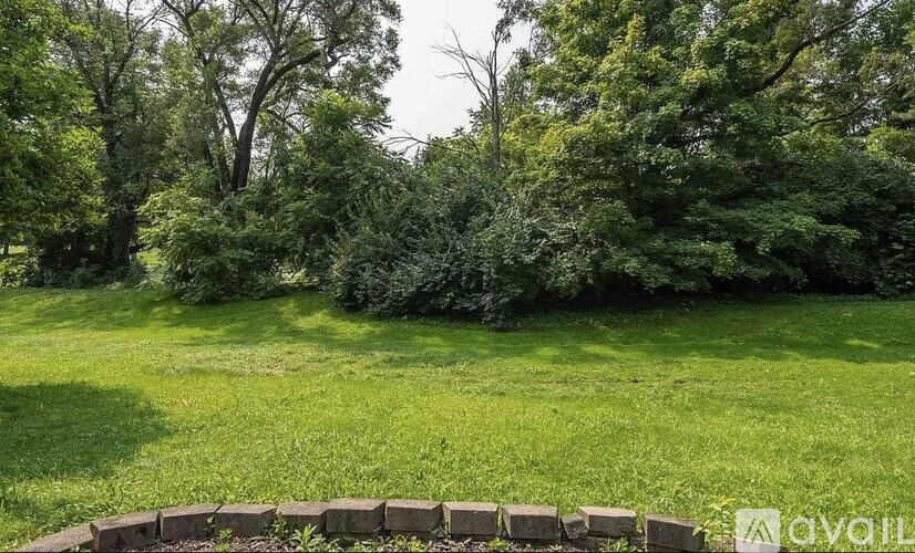 A grassy field with a stone wall and trees in the background.